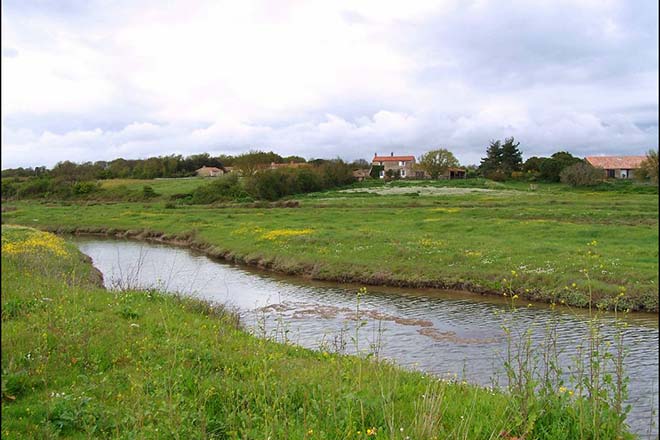 Les marais de talmont